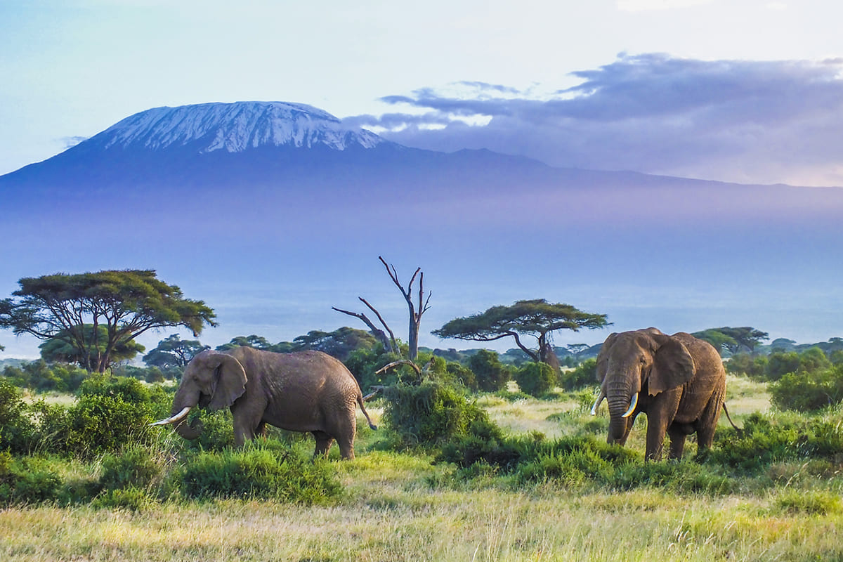 Mount Kilimanjaro